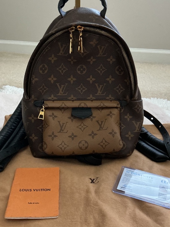 Louis Vuitton Palm Springs PM Backpack - Picture 1 of 3